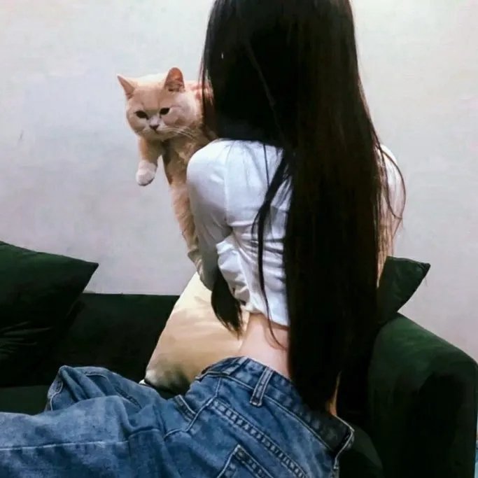 垃圾街 在线观看